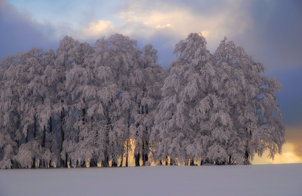 Фотогалерея Sigma - зима 2015 в Германии